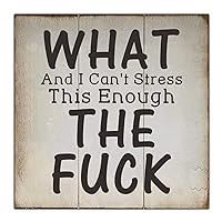 Wood Sign Plaque Sign What， And I Can't Stress This Enough，The Fuck？ Wood Hanger Sign Wall Plaque Wall for Kitchen Living Room Home 12X12 Inches