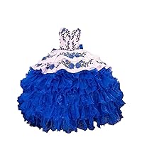 Mollybridal 2024 Fairy Floral Printed Flowers Ruffled Ball Gown Quinceanera Dresses Mexicanos XV Sweet 15 Party Dress