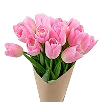 Stargazer Barn Pretty in Pink Tulips Fresh Flowers Bouquet - Fresh Cut Flowers for Longer Life - Bouquet of Flowers For Birthday, Anniversary, Mothers, Get Well - 15 Stems