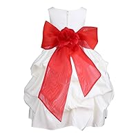 Pink Promise Ivory Wedding Party Pick-Up Organza Sash Flower Girl Dress