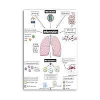 Lung Inflammation Leading to Immune Dysregulation Poster Poster for Lung Health Guidelines Canvas Painting Posters And Prints Wall Art Pictures for Living Room Bedroom Decor 20x30inch(50x75cm) Unfram