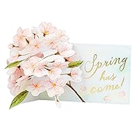 Greeting Life Cherry Blossom Card Pop Up Somayoshino LY-29