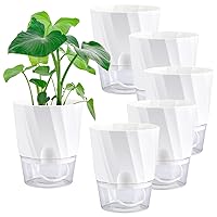 Whonline 6 Inch Self Watering Pots for Indoor Plants, 6 Pack African Violet Pots White Plant Pots Self Watering Planters with Wick Rope Flowers Outdoor Windowsill Gardens