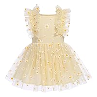 Newborn Baby Girl 1st Birthday Outfit Princes Dress with Diaper Cover Lace Ruffles Romper Tutu Cake Smash Photo Shoot
