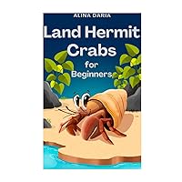 Land Hermit Crabs for Beginners