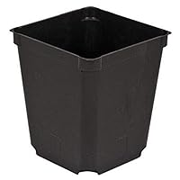 Square Nursery Pot, Case of 60