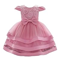 Dressy Daisy Baby Flower Girls Dresses Special Occasion Wedding Birthday Party Fancy Tiered Gown