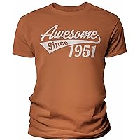 73rd Birthday Gift Shirt for Men - Awesome Since 1951-73rd Birthday Gift