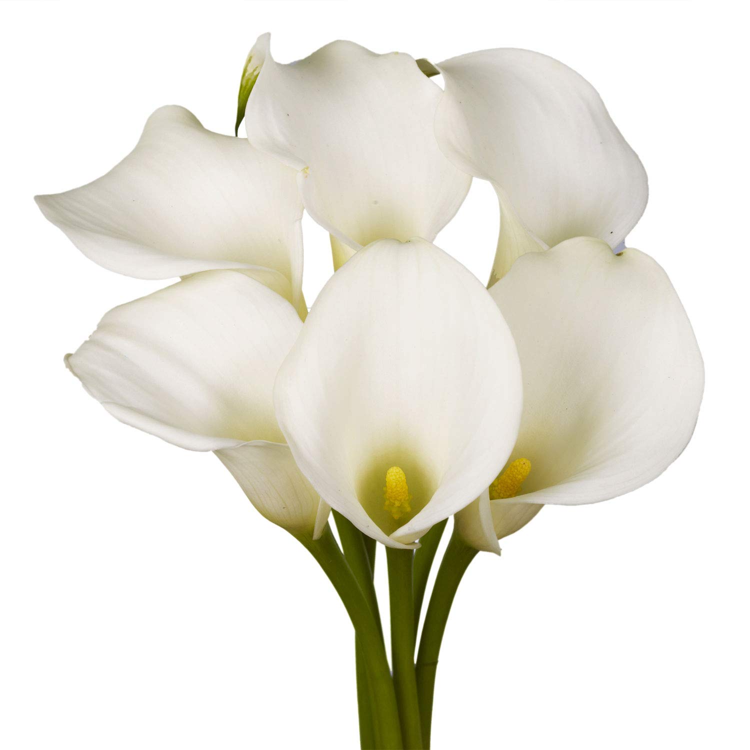 GlobalRose 18 Fresh Open Cut White Calla Lilies - Fresh Flowers For Birthdays, Weddings or Anniversary.
