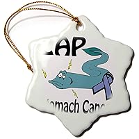 3dRose Zap Stomach Cancer Awareness Ribbon Cause Design - Ornaments (orn-115348-1)