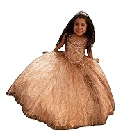 Mollybridal 2024 Glitter Sequined Sheer Neck Princess Toddler Pageant Prom Formal Party Dresses for Little Girls Rhinestones