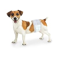 Wee-Wee Disposable Male Dog Wraps Male Wraps X-Small / Small (12 Count)