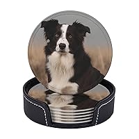 Coaster for Drink Leather Coaster Set of 6 Heat Resistant Drink Coasters with Holder Border Collie Coffee Cup Mat Tabletop Protection Cup Pad Round Coasters for Kitchen