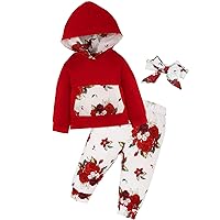 Newborn Baby Girl Clothes 0-24 Months Long Sleeve Top and Pants With Headband Infant Girl Fall Winter Outfits