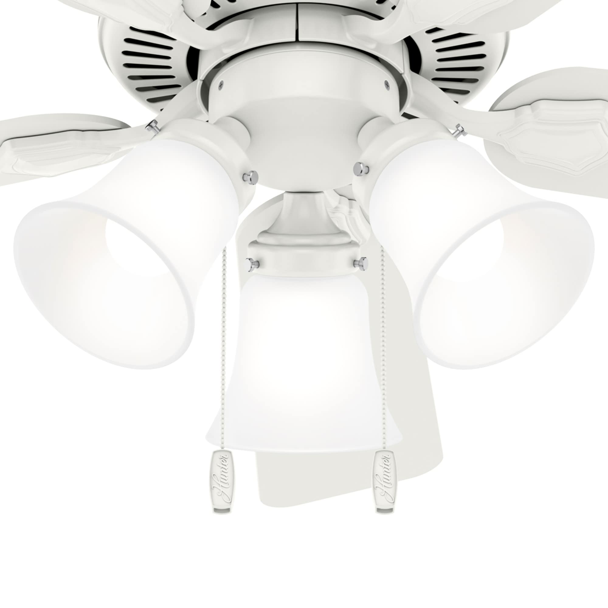 Hunter Swanson Indoor Ceiling Fan with LED Lights and Pull Chain Control, 44
