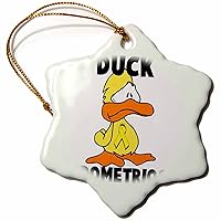 3dRose Duck Endometriosis Awareness Ribbon Cause Design - Ornaments (orn-114421-1)