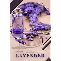 Lavender: Plant Guide