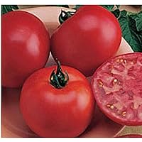 Burpee Big Boy Tomato Seeds (25+ Seeds)(Non GMO Organic Vegetable Fruit Garden Seeds) Non-Hybrid, by Home Decorium
