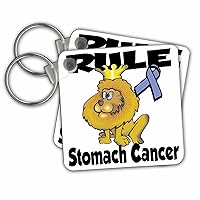 3dRose Key Chains Rule Stomach Cancer Awareness Ribbon Cause Design (kc-116125-1)