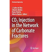 CO2 Injection in the Network of Carbonate Fractures (Petroleum Engineering) CO2 Injection in the Network of Carbonate Fractures (Petroleum Engineering) Hardcover Kindle Paperback