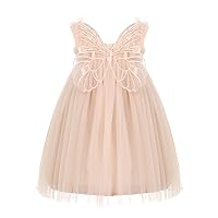 Flower Girls Wedding Ball Gowns Baby Sleeveless Butterfly Wings Mesh Dress for Birthday Party