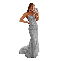 Laces Mermaid Prom Dresses Spaghetti Straps Backless Tulle Formal Evening Party Gown with Train ZX10