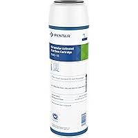 Pentair Pentek GAC-10 Carbon Water Filter, 10-Inch, Under Sink Granular Activated Carbon (GAC) Replacement Cartridge, 10
