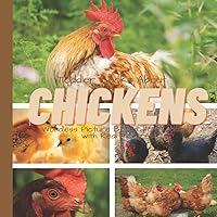 Toddler Books About Chickens: Wordless Picture Books for Toddlers with Real Pictures: Toddler Book About Chickens: Picture Book for Toddlers and Preschoolers with Real Photographs Toddler Books About Chickens: Wordless Picture Books for Toddlers with Real Pictures: Toddler Book About Chickens: Picture Book for Toddlers and Preschoolers with Real Photographs Paperback
