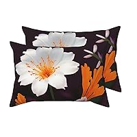 2 Pack Queen Size Pillow Cases with Envelope Closure White Flower Orange Flower Pillow Cover 20x30 Inches Soft Breathable Pillowcase for Hair and Skin, Sleeping Gift