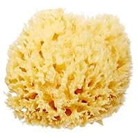 Delicate Skin Wool Sea Sponge 4 in | Real Natural Sponges for Body and Face Gentle Care | Luxurious Lather
