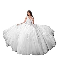 Elegant Ball Gown Quinceanera Dresses with Long Train V 3D Floral Flower Prom Wedding Dress
