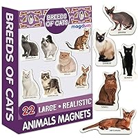 MAGDUM Photo Cats Breeds- Animal Magnets for Kitchen -Real Large Fridge Magnets for Toddlers- Magnetic Educational Toys Baby 3 Year Old Baby - Learning Magnets for Kids- Kid Magnets Magnetic Theatre