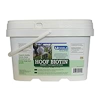 Uckele Hoof Biotin - Hoof Support for Horses - 6 pound (lb)