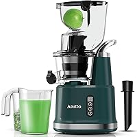 Aeitto Slow Masticating Juicer, Electric Juicer, with Big Wide 83mm Feed Chute, Juicer Machine for Vegetable and Fruit, Easy to Clean with Brush, Juice Press BPA-Free, Dark Green