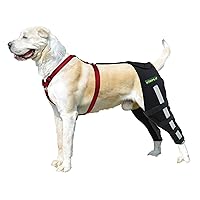 Rear Leg Braces for Dogs Luxating Patella Joint Pain Dog Knee Brace for Torn ACL Hind Leg with Reflective Support Strip Both Legs L