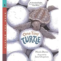 One Tiny Turtle: Read and Wonder