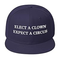 Elect A Clown Expect A Circus Hat (Embroidered Wool Blend Cap) Funny Anti Donald Trump Gag Gift