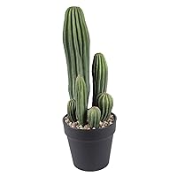Artificial Saguaro Cactus Faux Plants 16 Inch with Black Pot for Home Office Store Decoration