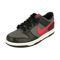 Nike Dunk Low Bg Big Kids Shoes