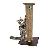 Sisal Post Cat Scratchers and Cushion