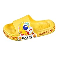 Ravens Slippers Boys Cartoon Cute Non-Slip Shoes Water Toddler Kids 3-10Y Girls Animals Slippers for Boys