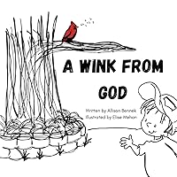 A Wink from God A Wink from God Paperback