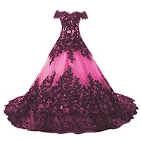 Gothic Lace Quinceanera Ball Dress Long Sweet 16 Dance Prom Gowns with Sleeve