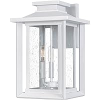 Quoizel Coastal Armour WKF8411W Wakefield Transitional Clear Seedy Glass Large Outdoor Wall Lantern, 3-Light 180 Total Watts, 17