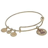 Alex and Ani Collaborations Harry Potter Houses Charm Bangle, Bangle Bracelet, Shiny Finishes, 2 To 3.5In