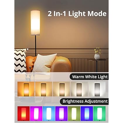 HeroPlus Floor Lamp for Living Room RGB Standing Lamp Tall Lamp Corner Industrial Floor Lamp Reading for Bedroom Office with Remote & WiFi APP Control - Black