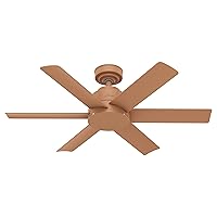 Hunter Fan 44 inch Casual Terracotta Outdoor Ceiling Fan with 6 Blades (Renewed)