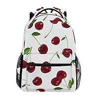 ALAZA Cherry Fruit Large Backpack Personalized Laptop iPad Tablet Travel School Bag with Multiple Pockets