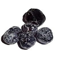 Apache Tears volcanic Obsidian Natural Healing Crystal Gemstone Stones 5pc set