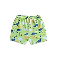 3 Yr Old Birthday Swimsuit Toddler Kids Infant Baby Boys Summer Print Shorts Quick Dry Beach Toddler Guard Boy